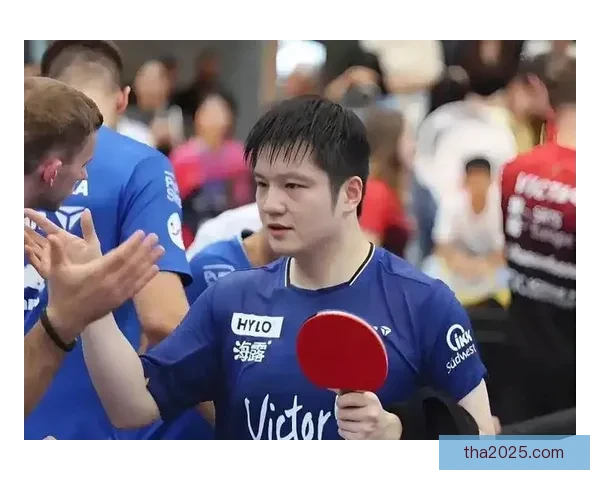 樊振东缺席海口亚洲杯仍显王者本色奥运双冠加持德甲领跑稳居态势